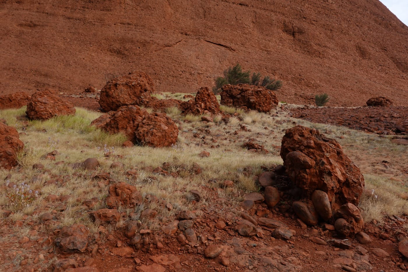 Cluster of boulders with native grass.
