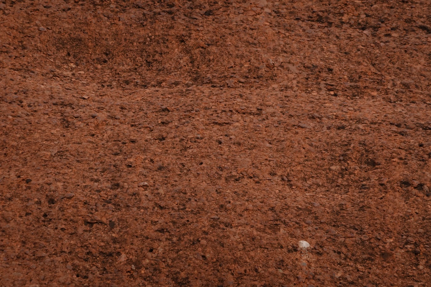 Close-up of the red conglomerate rock texture.