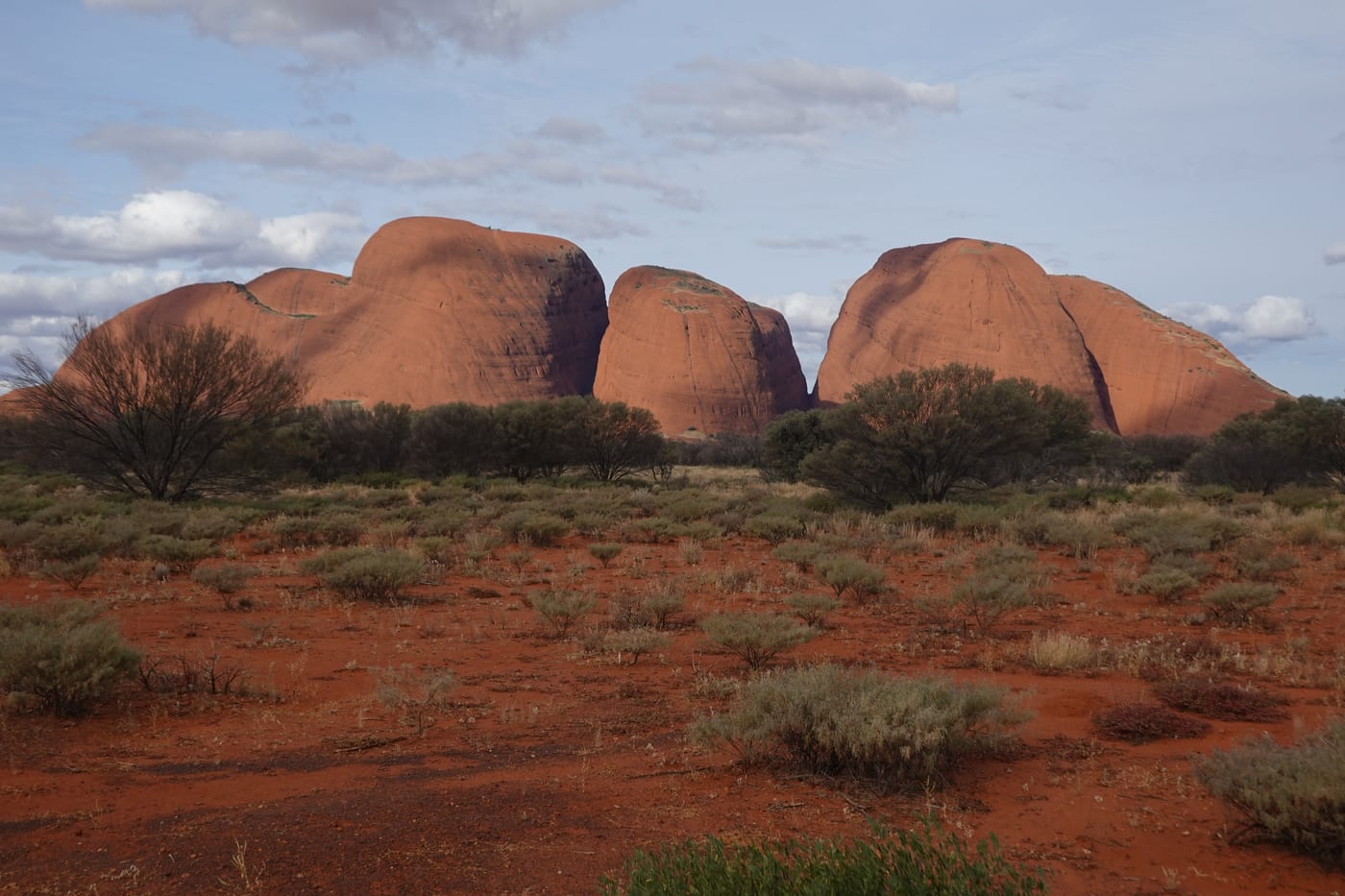 The full Kata Tjuta formation at evening.