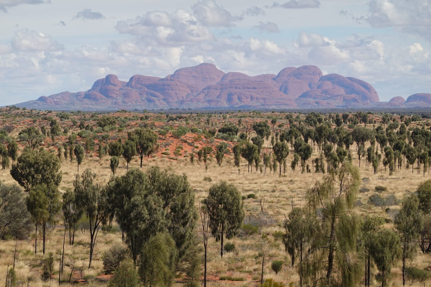 The domes of Kata Tjuta from a distant lookout.
