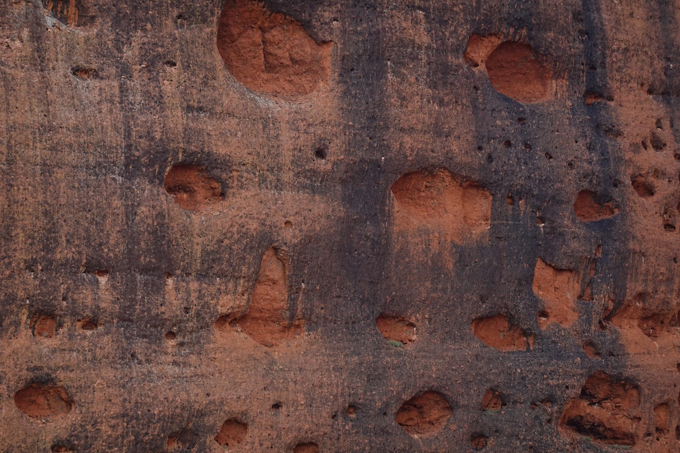 Pock-marked surface of a Kata Tjuta dome.