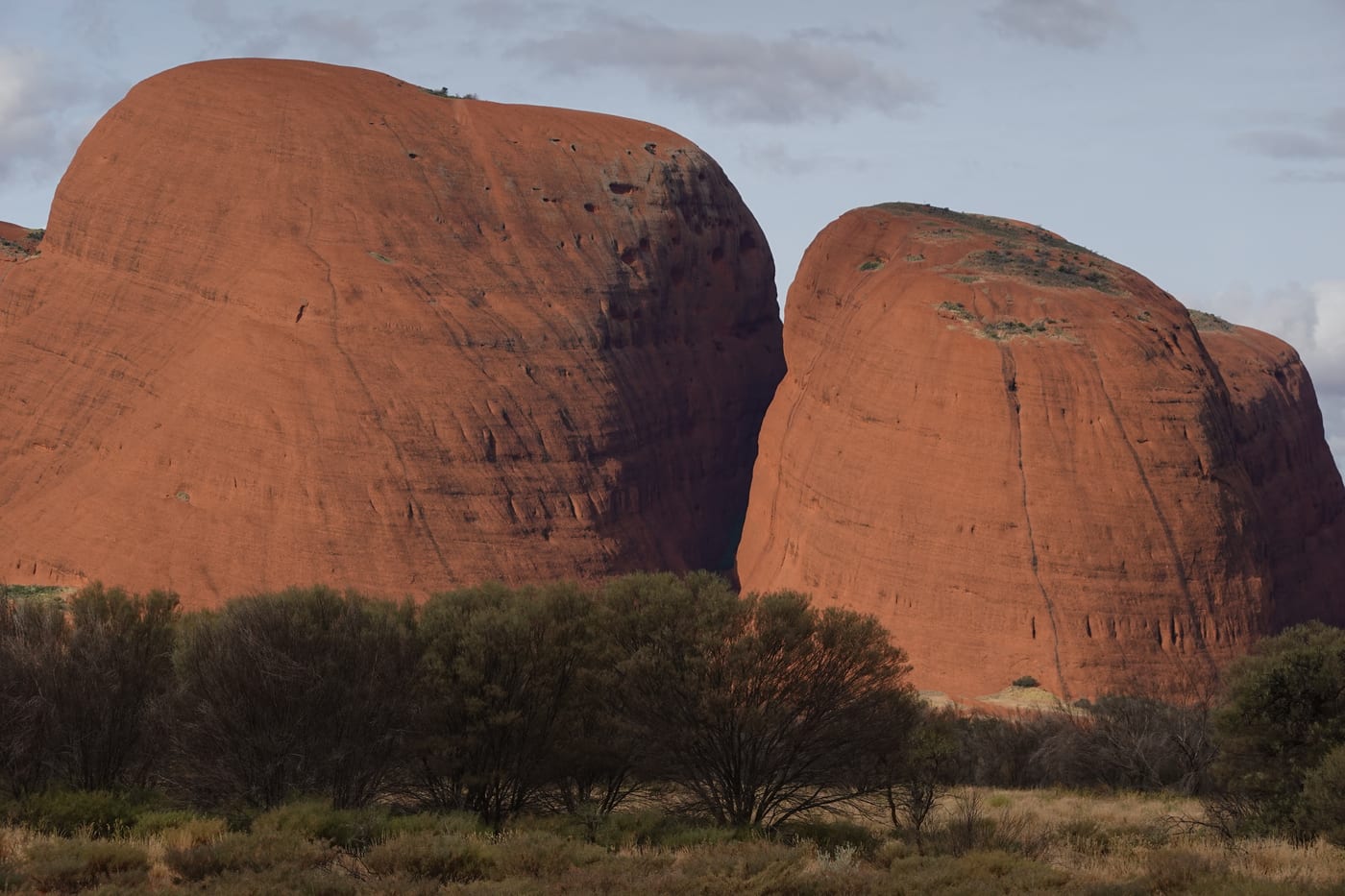 Two adjacent domes, close view.