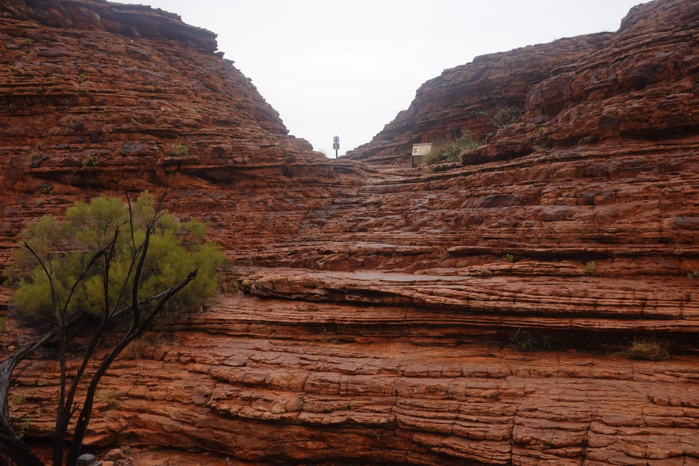Part of the canyon rim trail.