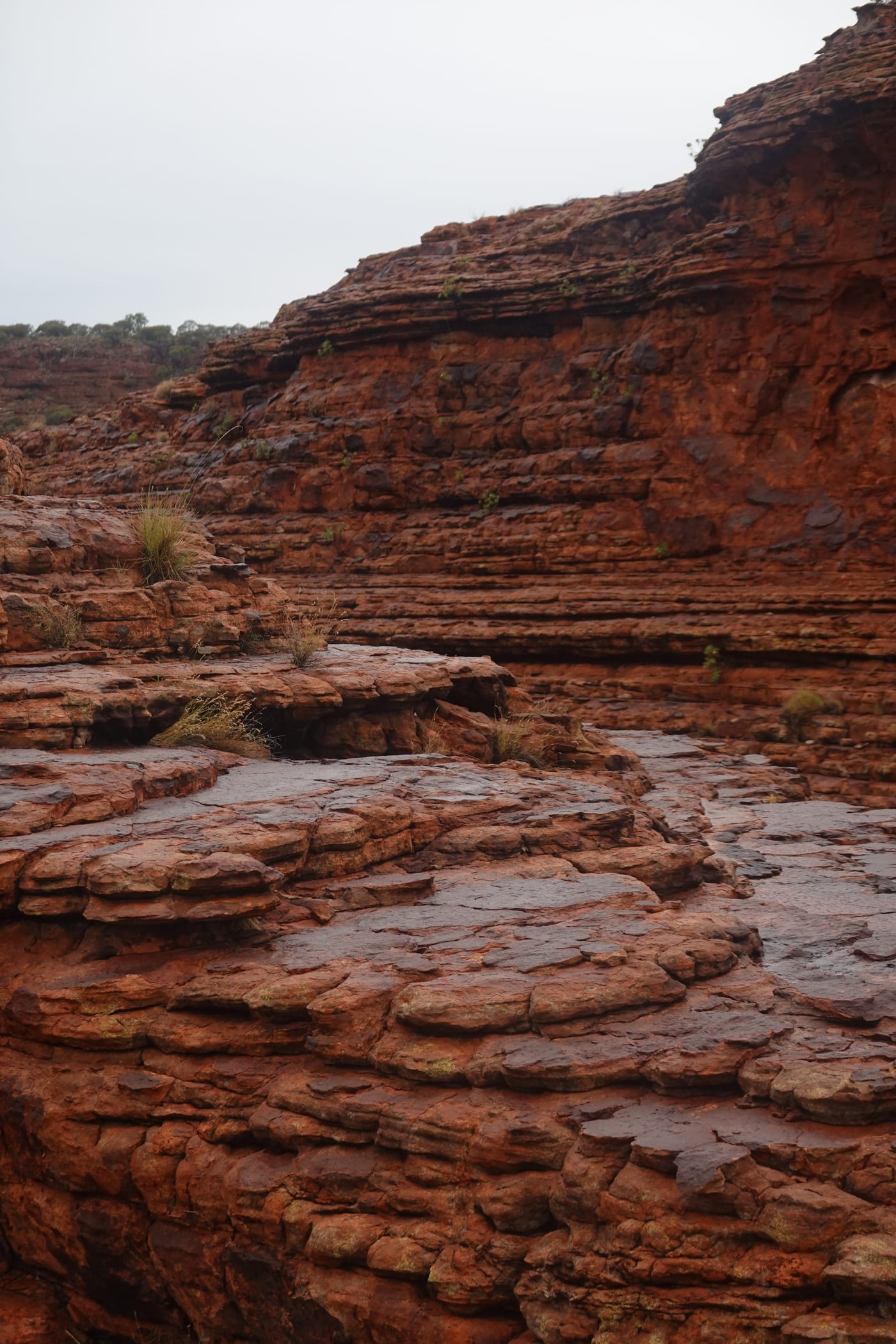 Close-up of the canyon cliff.