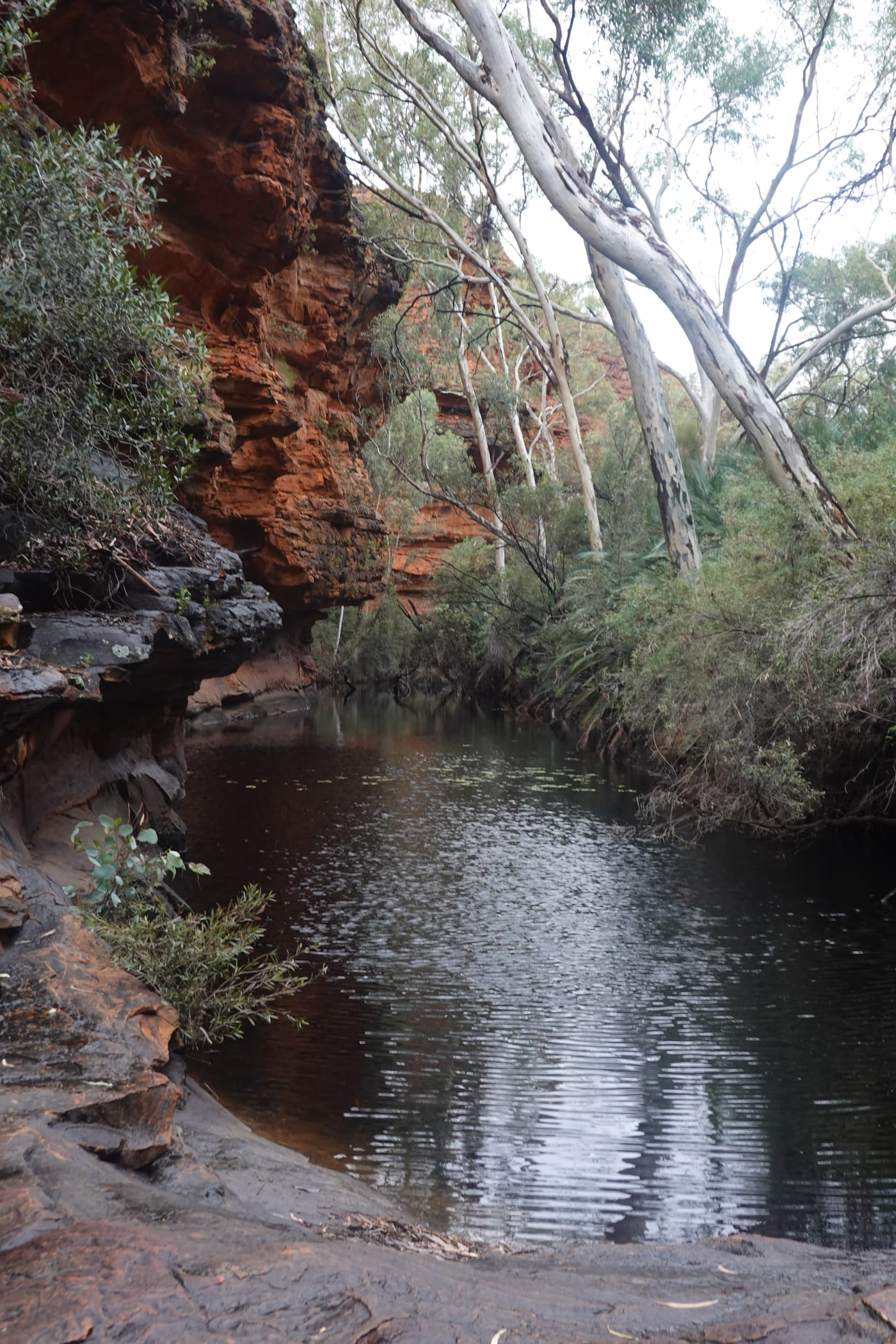 Pool in the Garden of Eden.