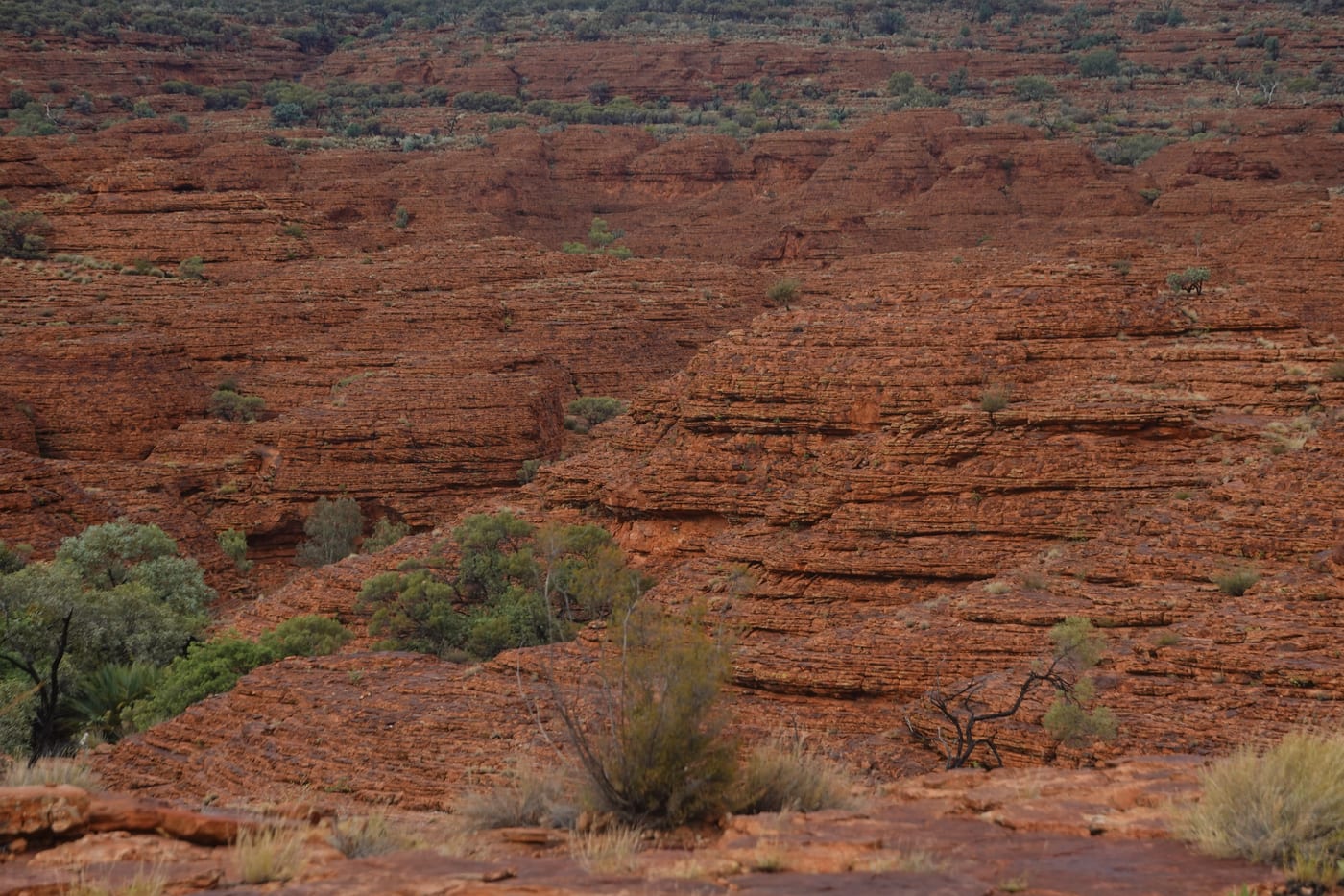 Wide view over the Lost City domes.