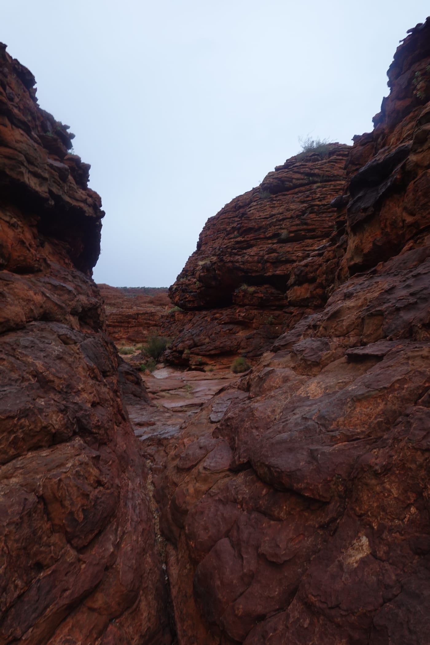 Looking up at a cliff rim-walk-squeeze.