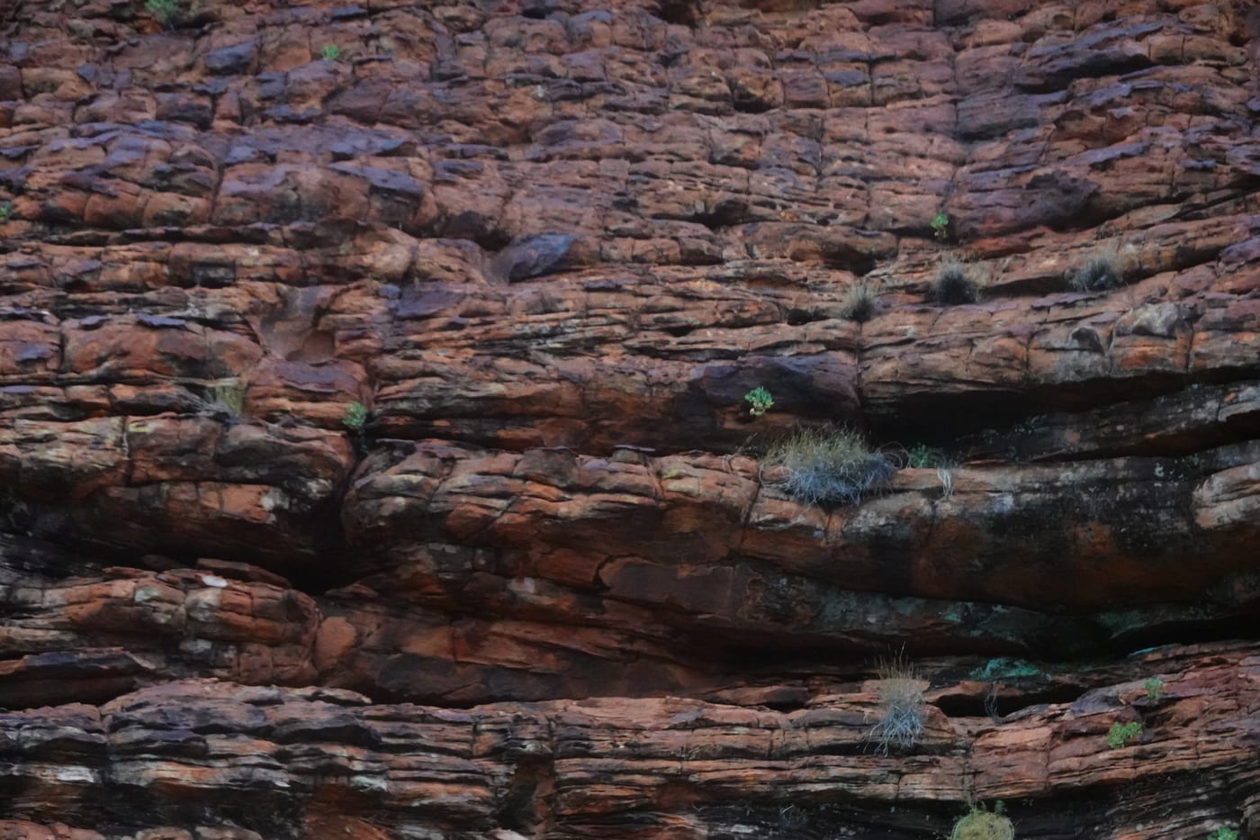 Detail of the layered canyon walls.