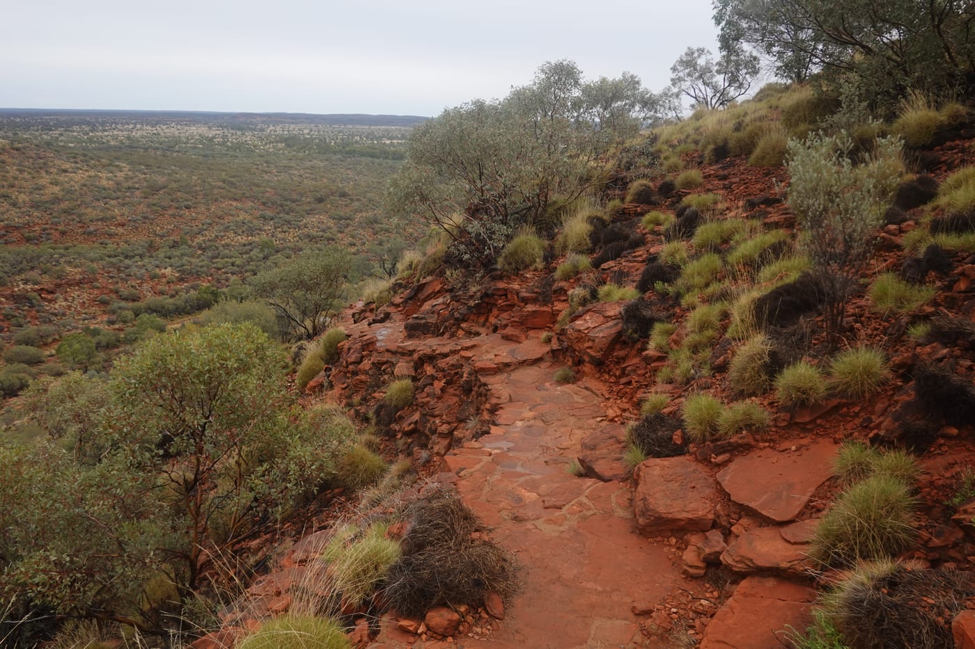 Trail leading back down off the rim.
