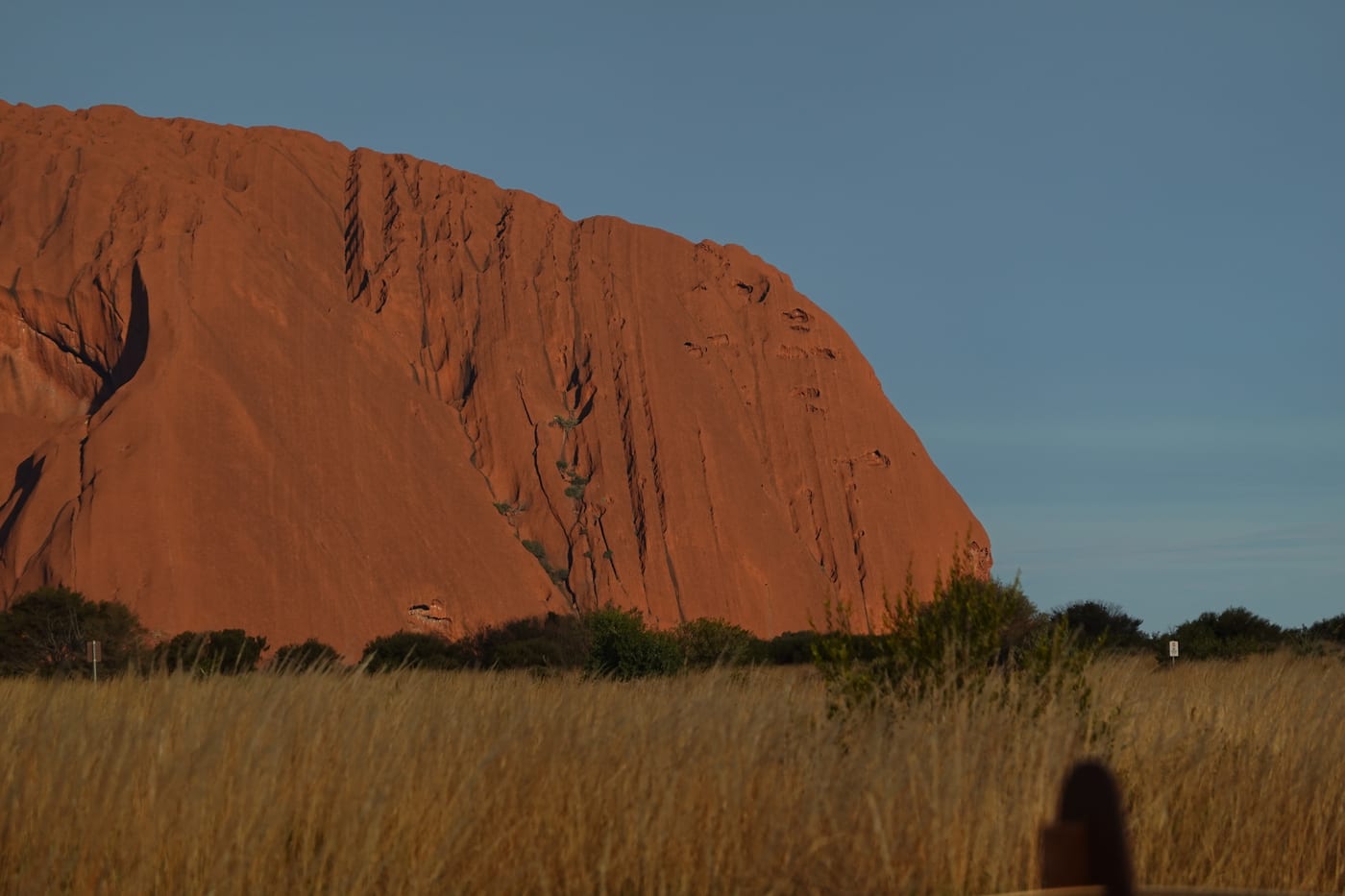 Uluru's cliff face at sunset, close.