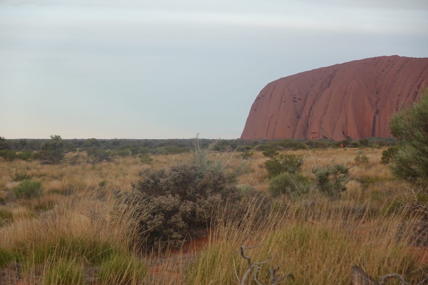 Uluru in the distance at dusk.