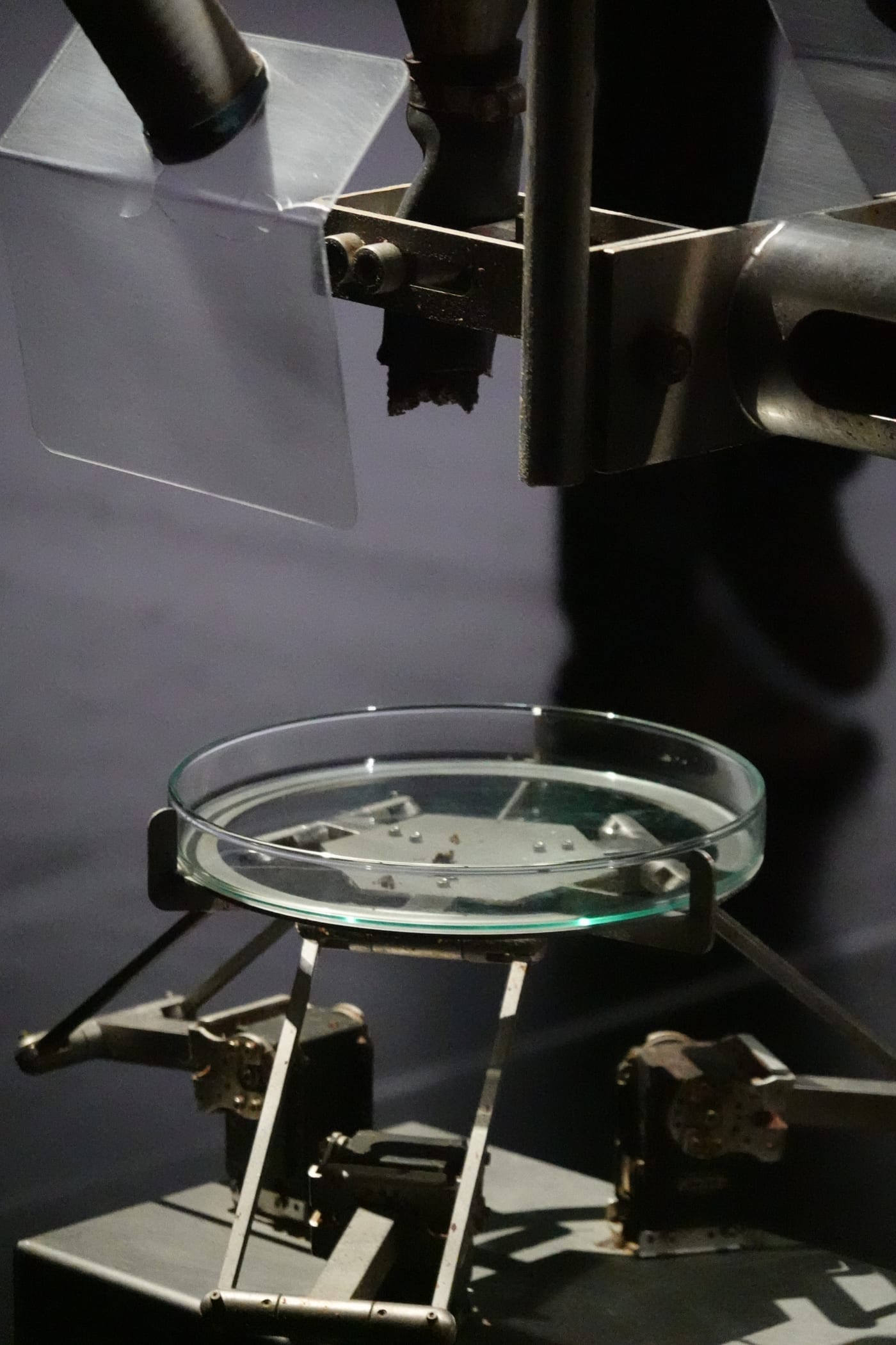 Glass dish suspended inside the Cloaca mechanism.
