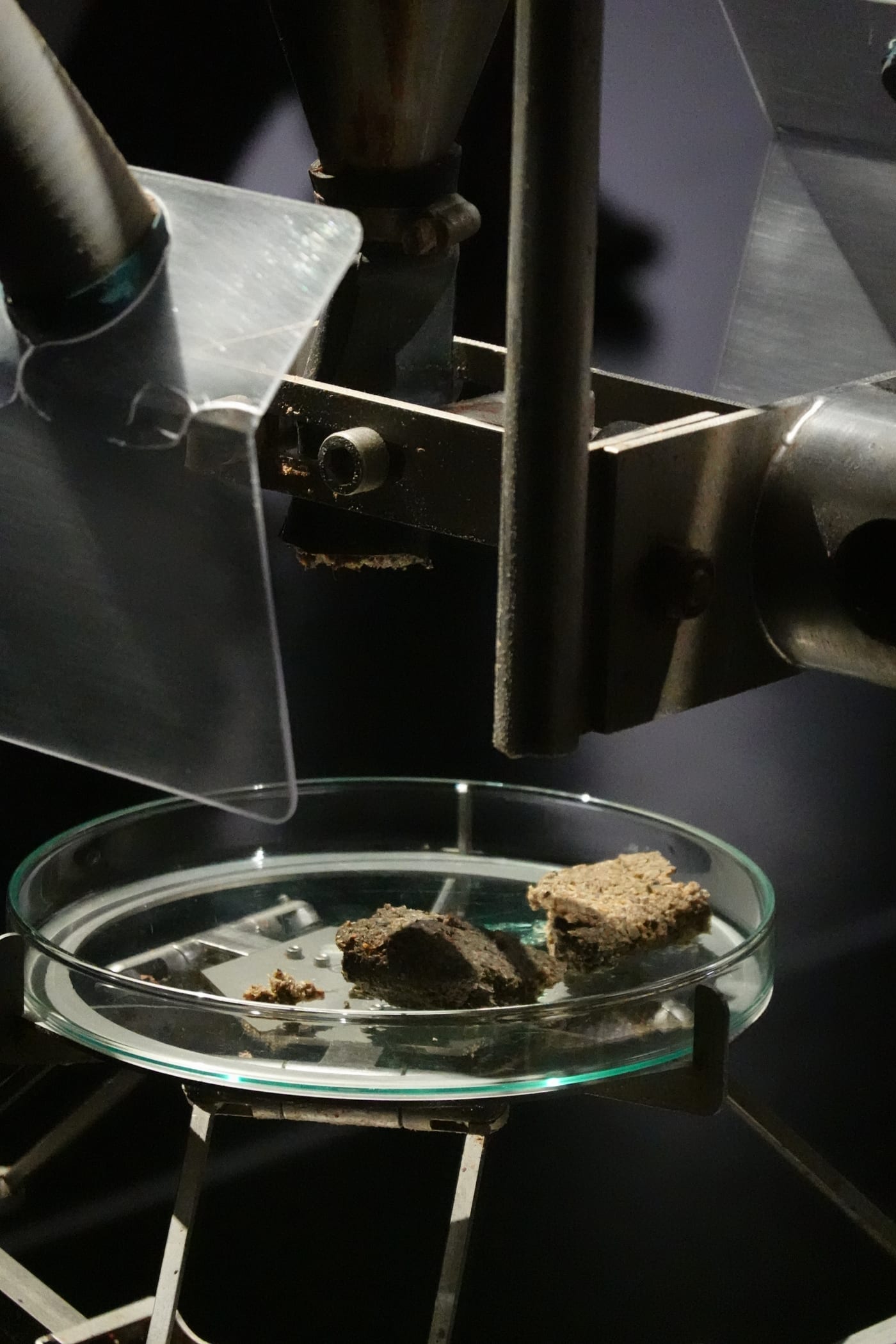 Output of Cloaca on a glass dish.
