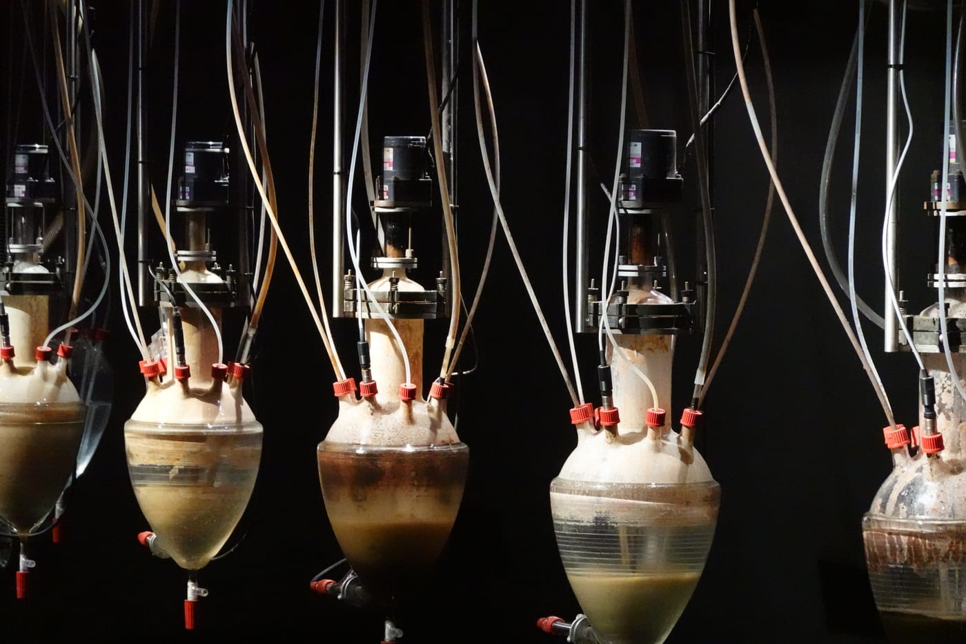 Glass vessels of the Cloaca digestion machine.