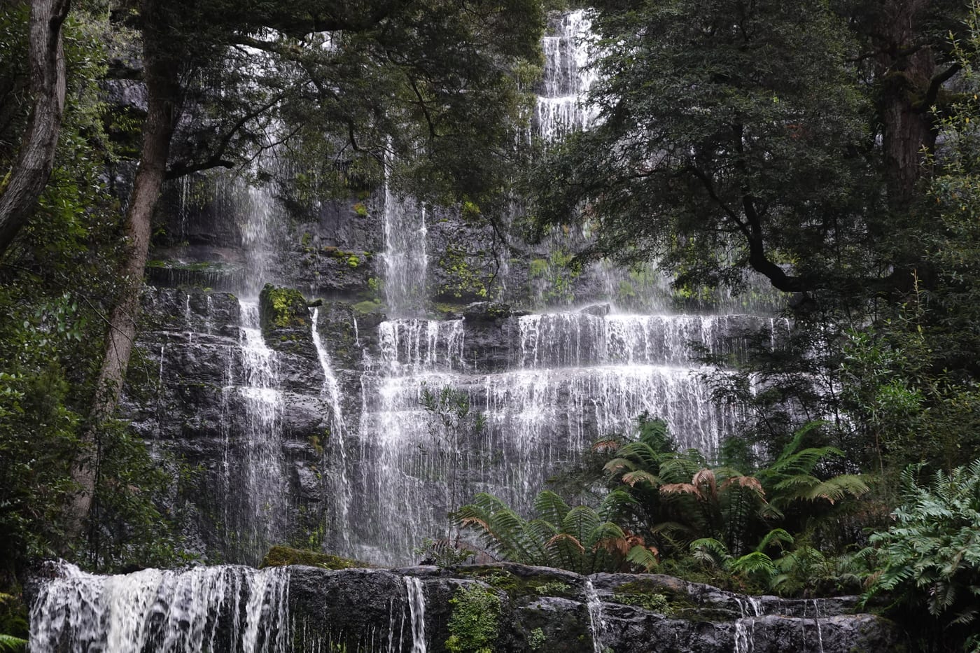 Russell Falls.