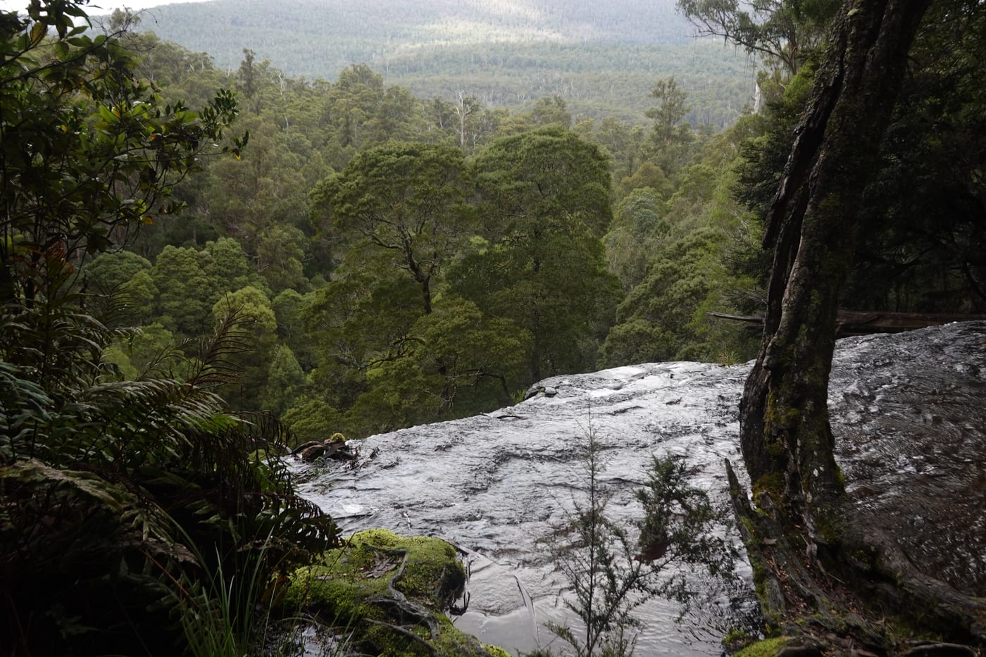 Top of Russell Falls.